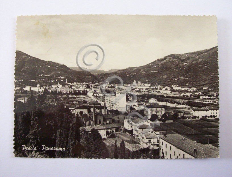 Cartolina Pescia ( Pistoia ) - Panorama 1954