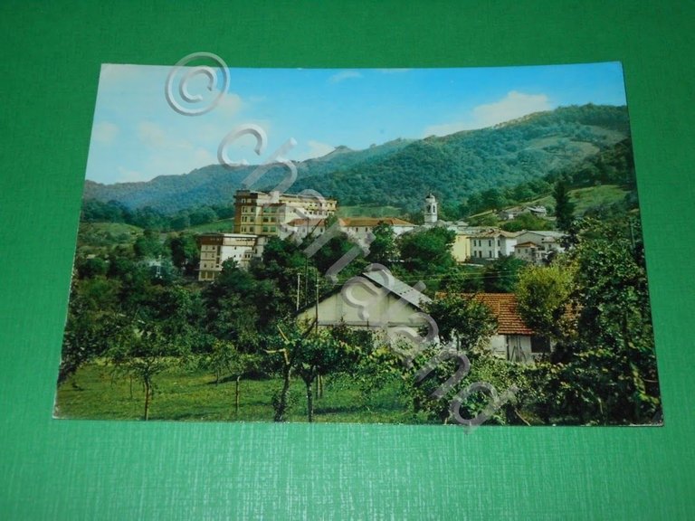 Cartolina Peveragno ( Cuneo ) - Madonna dei Boschi - …