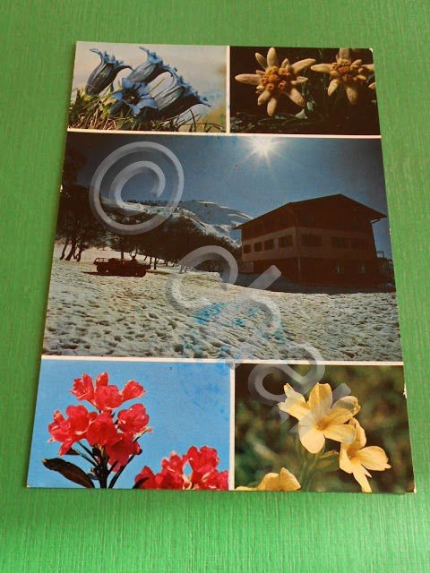 Cartolina Pian delle Betulle - Albergo Baitock 1965 ca