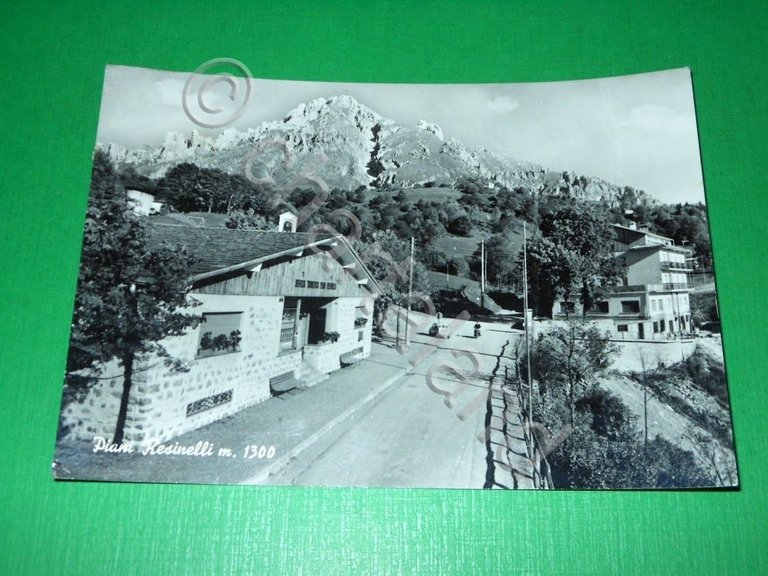 Cartolina Piani Resinelli - Scorcio panoramico 1964