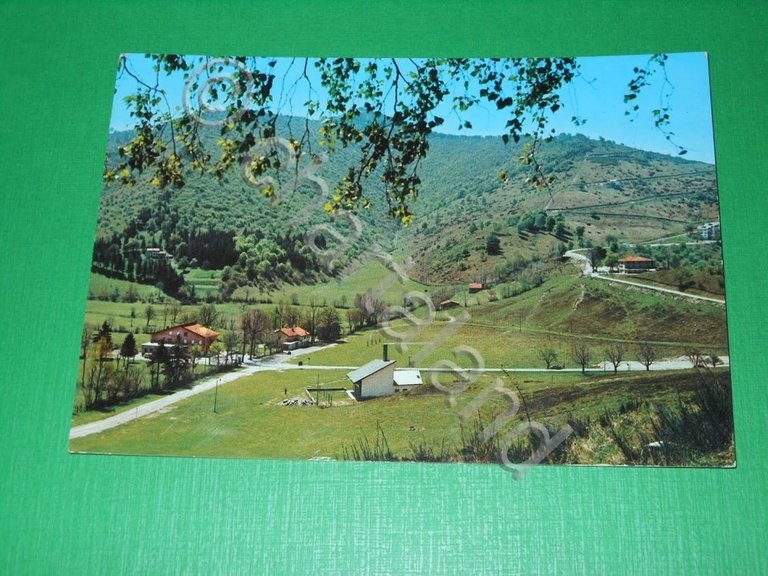 Cartolina Piano del Tivano ( Zelbio ) - Panorama 1970