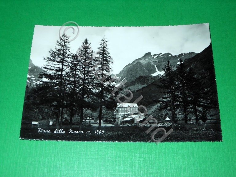 Cartolina Piano della Mussa - Scorcio panoramico 1956
