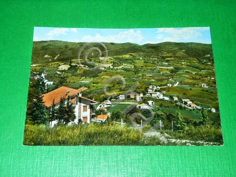 Cartolina Pietragavina - Scorcio dalla pineta 1960 ca.