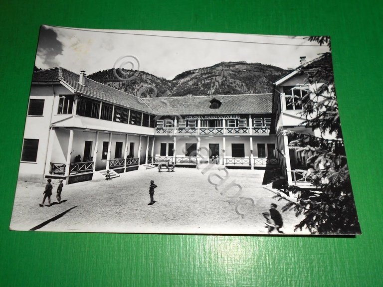 Cartolina Pieve di Cadore - Colonia Alpina M. Vazzoler 1961