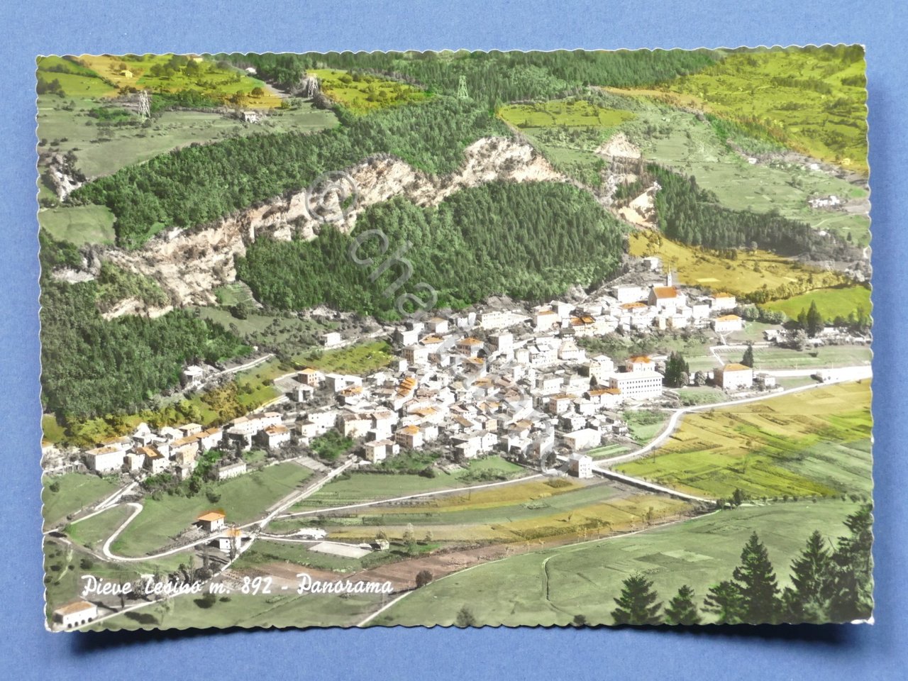 Cartolina Pieve Tesino - Panorama - 1951