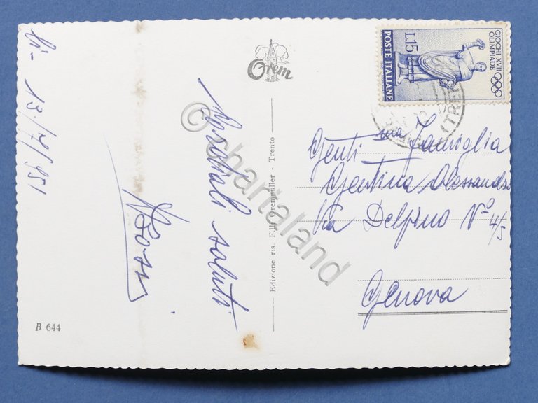 Cartolina Pieve Tesino - Panorama - 1951