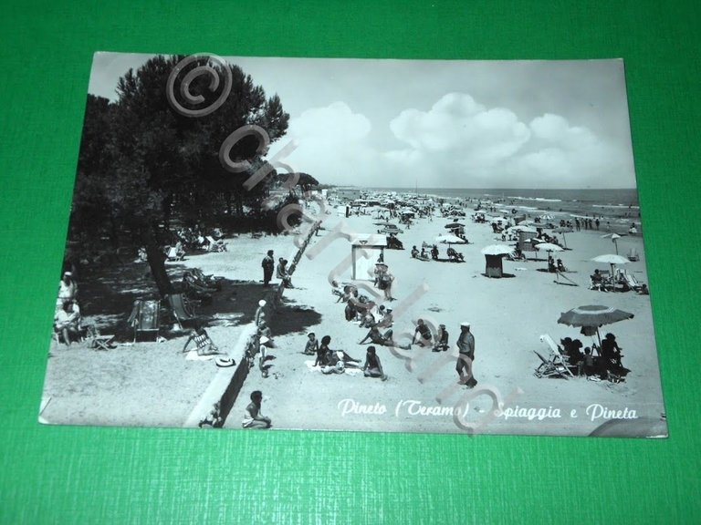 Cartolina Pineto ( Teramo ) - Spiaggia e Pineta 1964