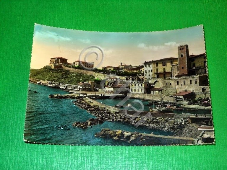 Cartolina Piombino - Panorama e Porticciolo 1955 ca.