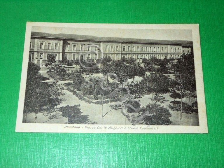 Cartolina Piombino - Piazza Dante Alighieri e scuole Elementari 1930 …
