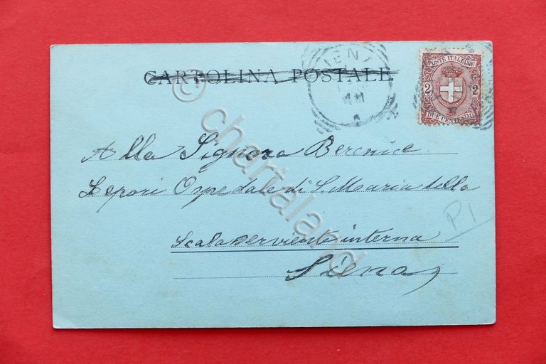 Cartolina Pisa - Panorama - 1901 ca.