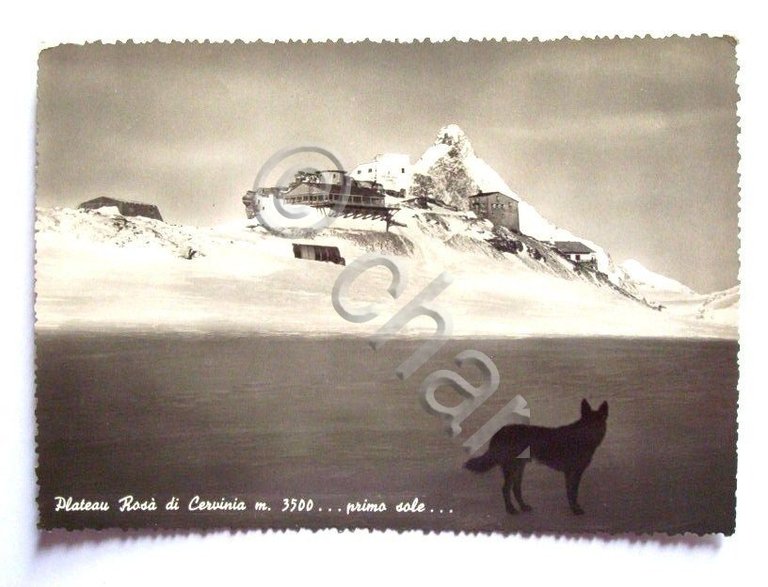 Cartolina Plateau Rosa di Cervinia - panorama 1952