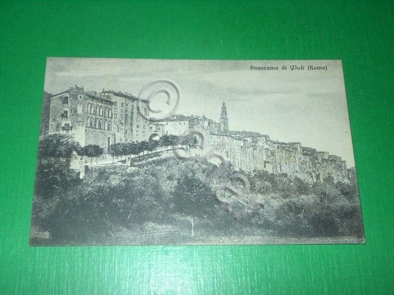 Cartolina Poli ( Roma ) - Panorama 1927