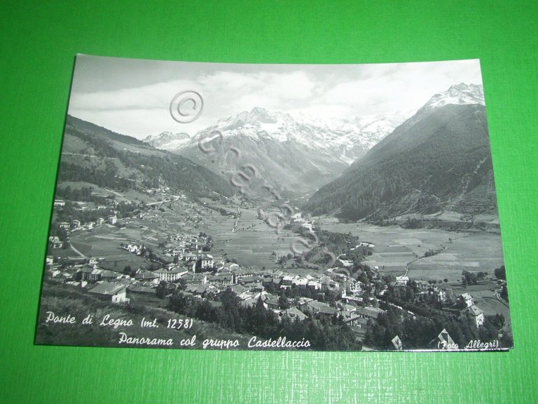 Cartolina Ponte di Legno - Panorama col gruppo Castellaccio 1950 …