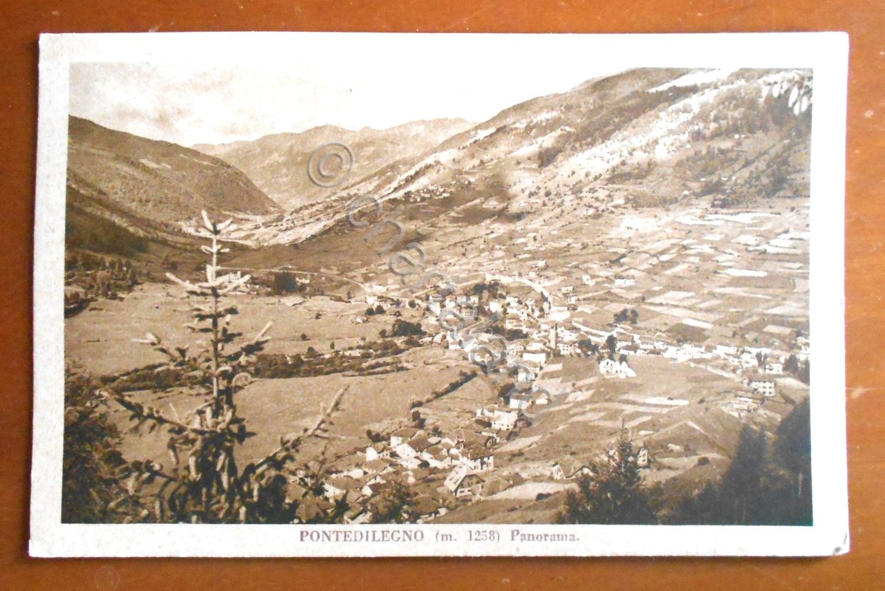 Cartolina Pontedilegno ( m. 1258) - Panorama - 1935