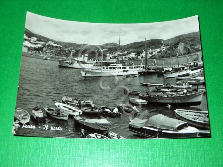 Cartolina Ponza - Il porto 1960 ca #3