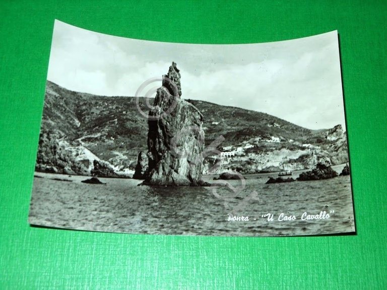 Cartolina Ponza - "U Caso Cavallo" 1960 ca