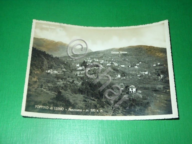 Cartolina Poppino di Luino - Panorama 1951 | Immagine Gallery 2