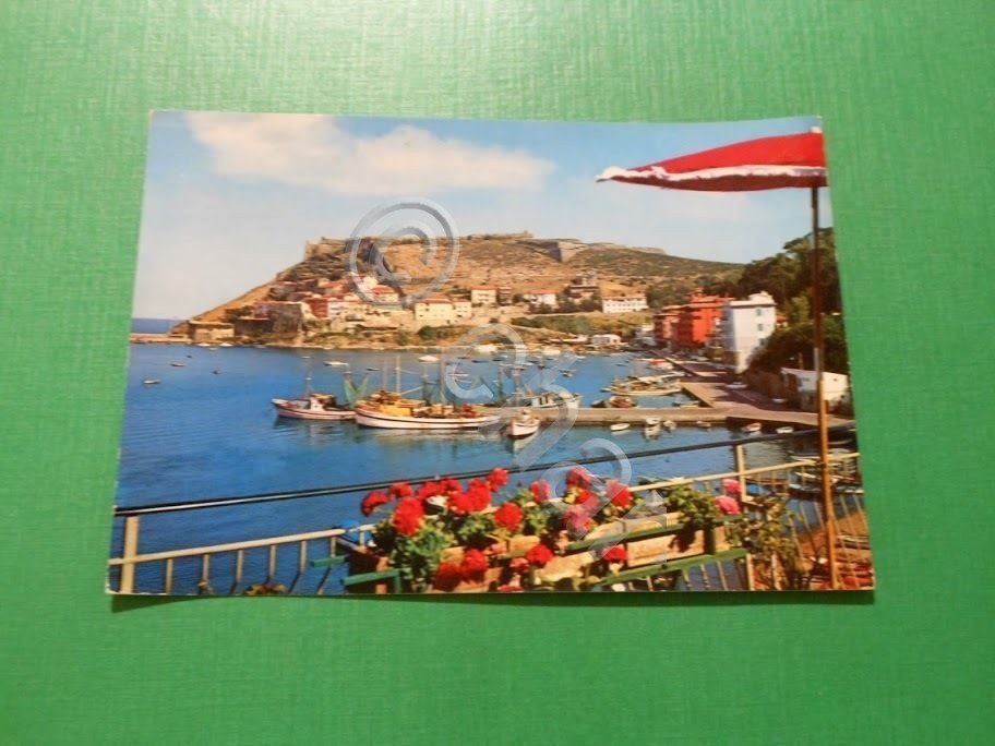 Cartolina Porto Ercole - Scorcio panoramico - Il Porto 1965.