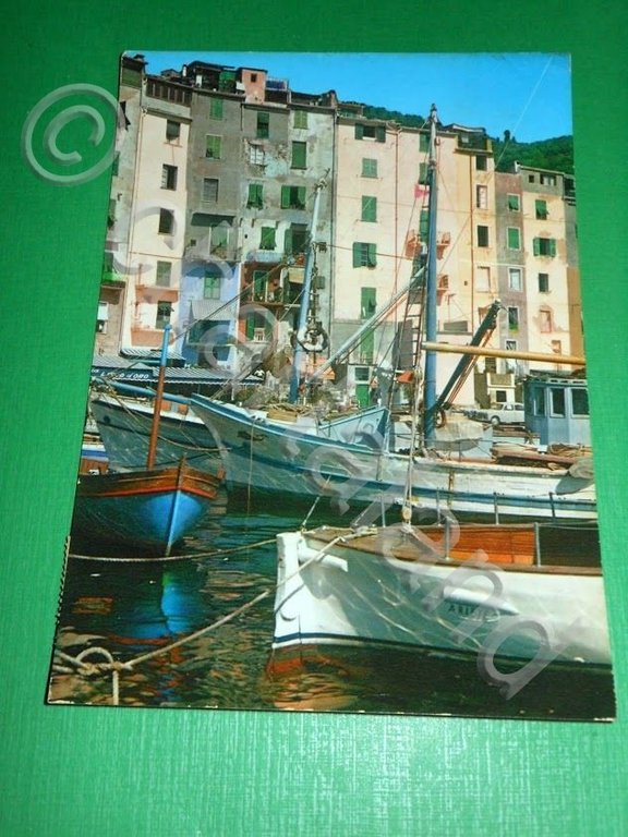 Cartolina Porto Venere - Luci e colore 1961