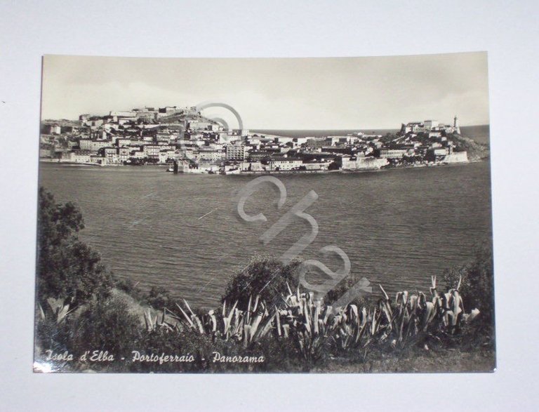 Cartolina Portoferraio ( Isola d' Elba )- Panorama 1954