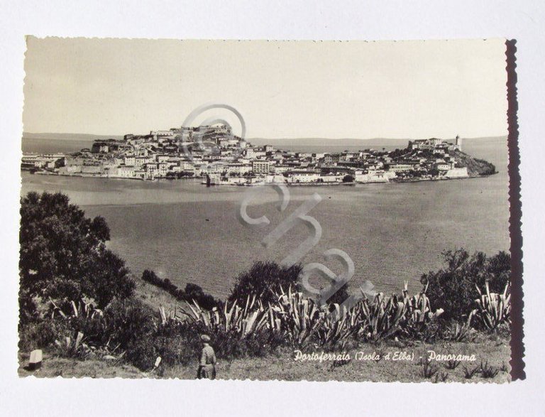 Cartolina Portoferraio (Isola d 'Elba) Panorama 1960 ca