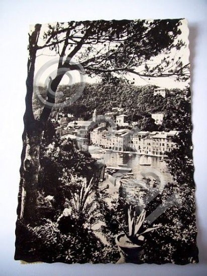 Cartolina Portofino - Panorama generale 1951