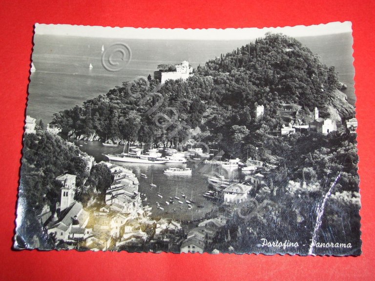 Cartolina Portofino - Panorama generale 1956.