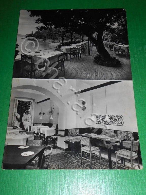 Cartolina Portofino Mare - Ristorante "Il Pitosforo" 1955 ca