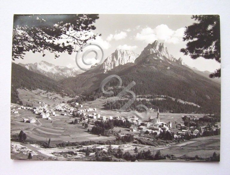Cartolina Pozza ( Val di Fassa ) - Panorama 1955 …