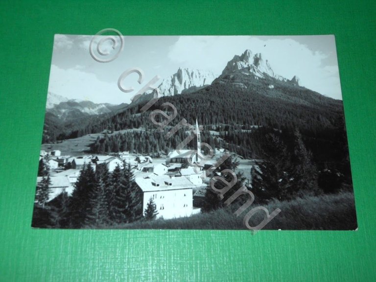 Cartolina Pozza ( Val di Fassa ) - Panorama 1961