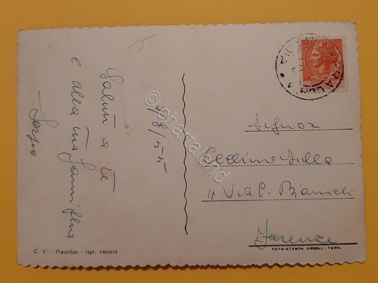 Cartolina Pracchia - Stazione Climatica - Panorama - 1955
