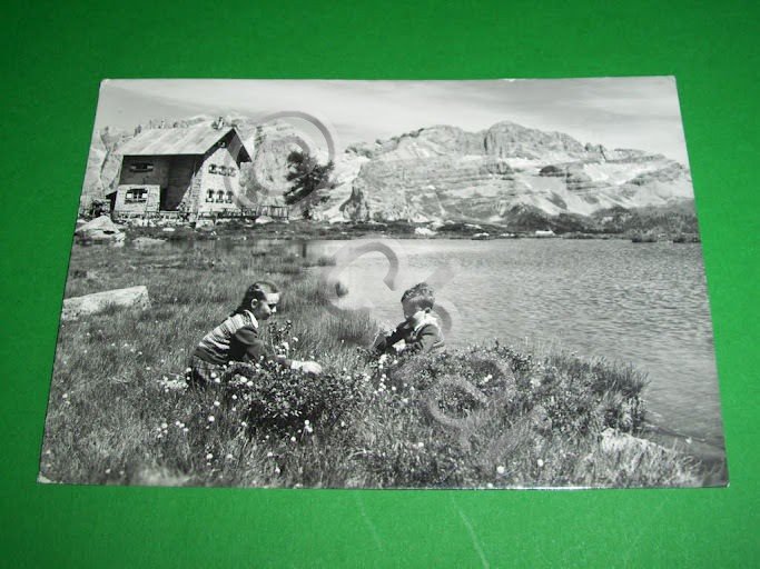 Cartolina Pradalago ( Madonna di Campiglio ) - Il Rifugio …