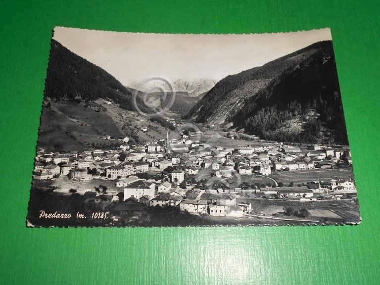 Cartolina Predazzo - Panorama 1949.