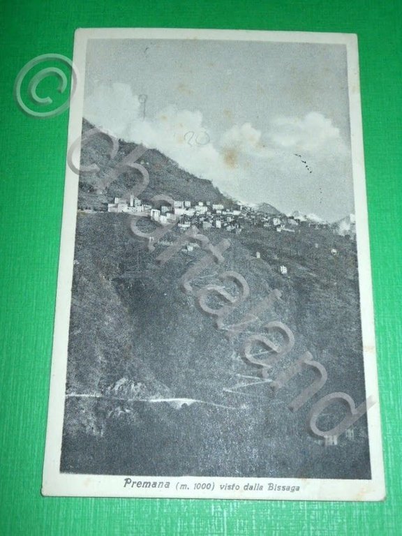 Cartolina Premana ( Lecco ) - Panorama visto dalla Bissaga …