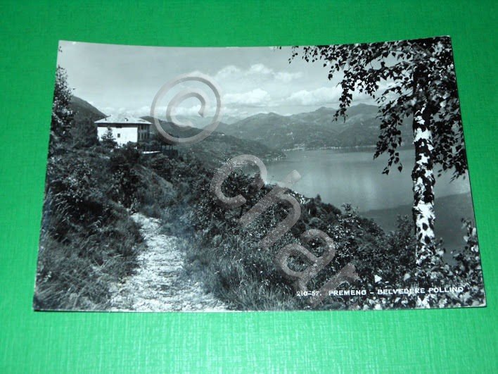 Cartolina Premeno - Belvedere Pollino 1955 ca. | Immagine Gallery 2