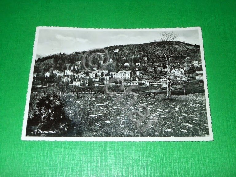 Cartolina Premeno - Panorama 1954