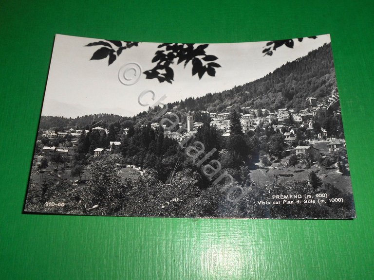 Cartolina Premeno - Vista dal Pian di Sole 1955 ca
