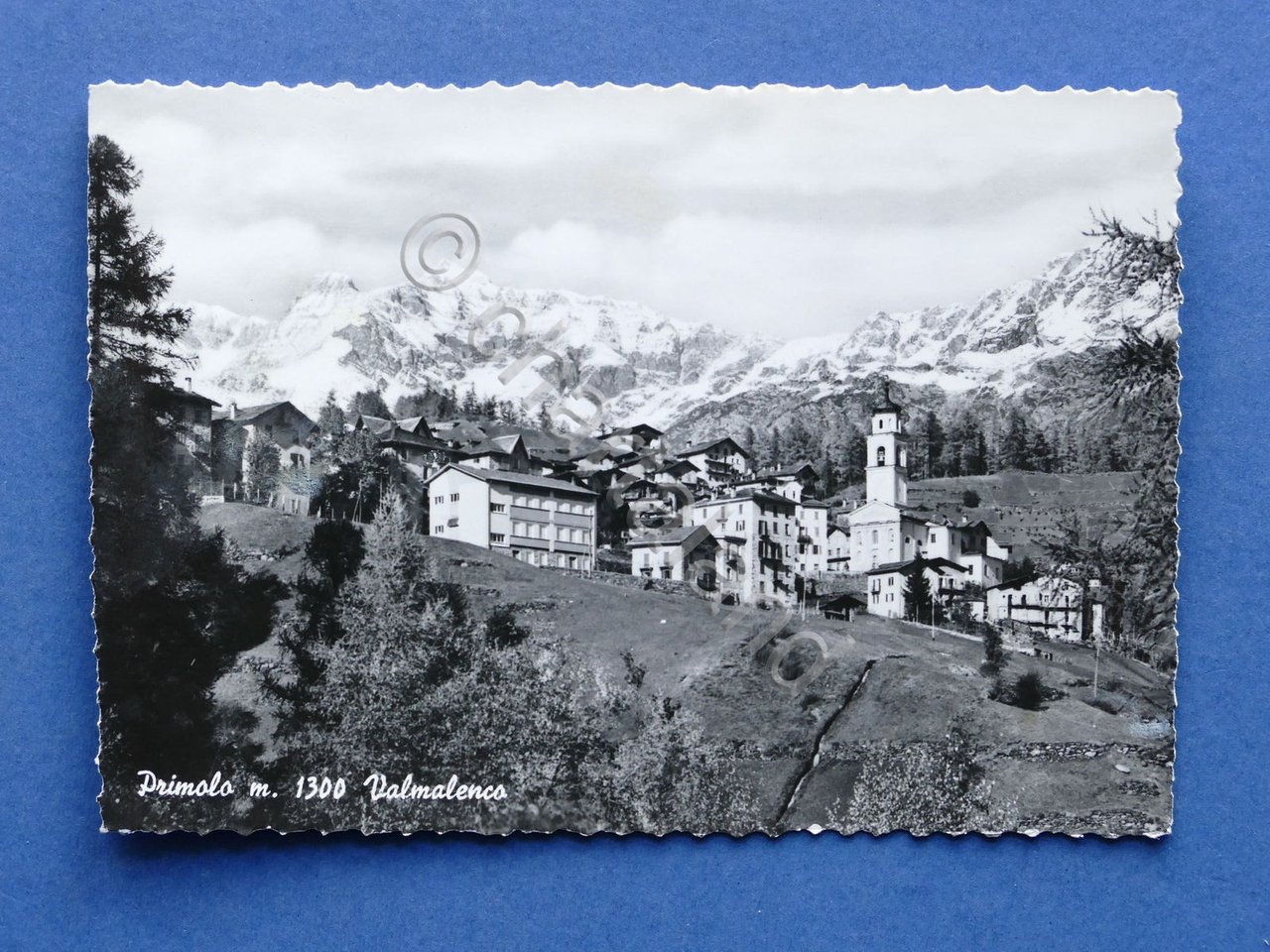 Cartolina Primolo - Valmalenco - Panorama - 1955 ca..