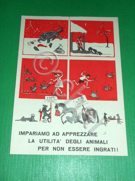 Cartolina Propaganda Ente Nazionale Protezione degli Animali - Litostampa 1958 | Immagine Gallery 2