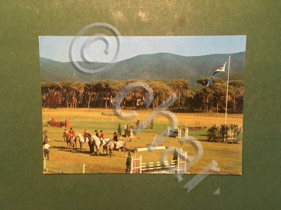 Cartolina Punte Ala - Ippica - 1970