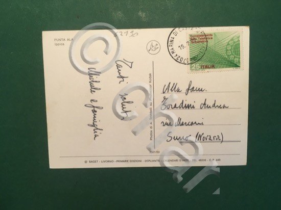 Cartolina Punte Ala - Ippica - 1970