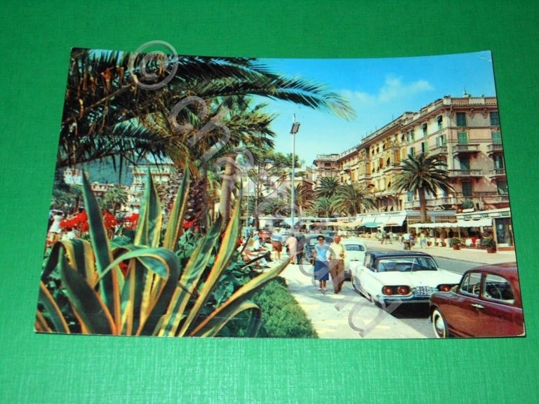 Cartolina Rapallo - Agave e palme sul Lungomare 1961