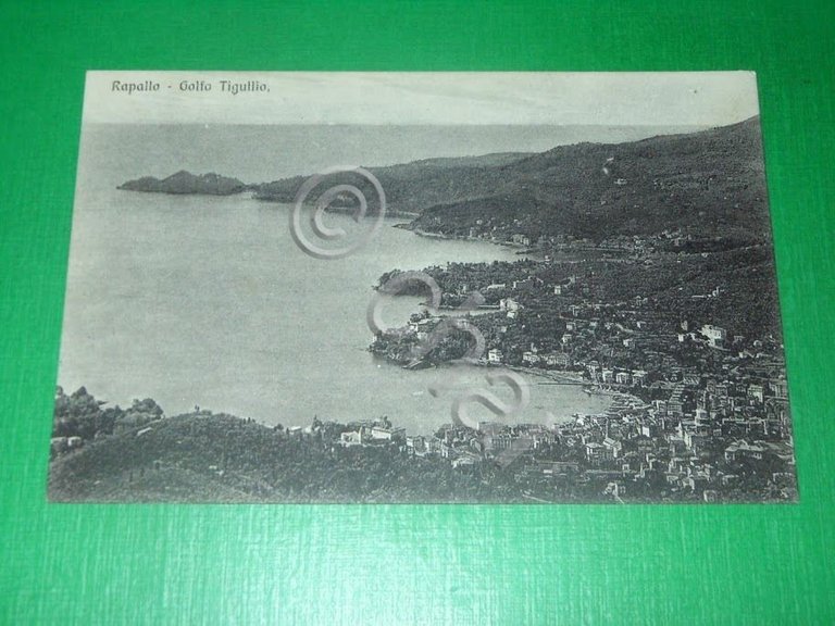 Cartolina Rapallo - Golfo Tigullio 1910 ca