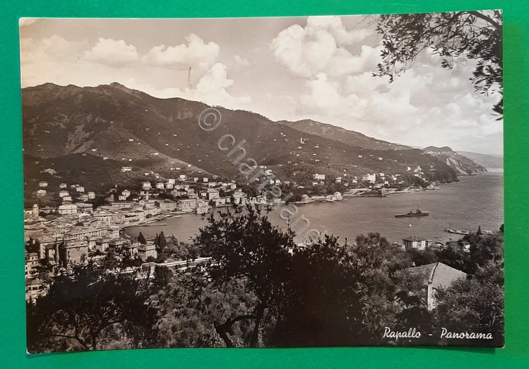 Cartolina Rapallo - Panorama - 1958 | Immagine Gallery 2