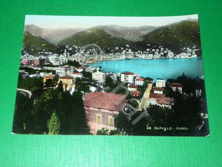 Cartolina Rapallo - Panorama 1953