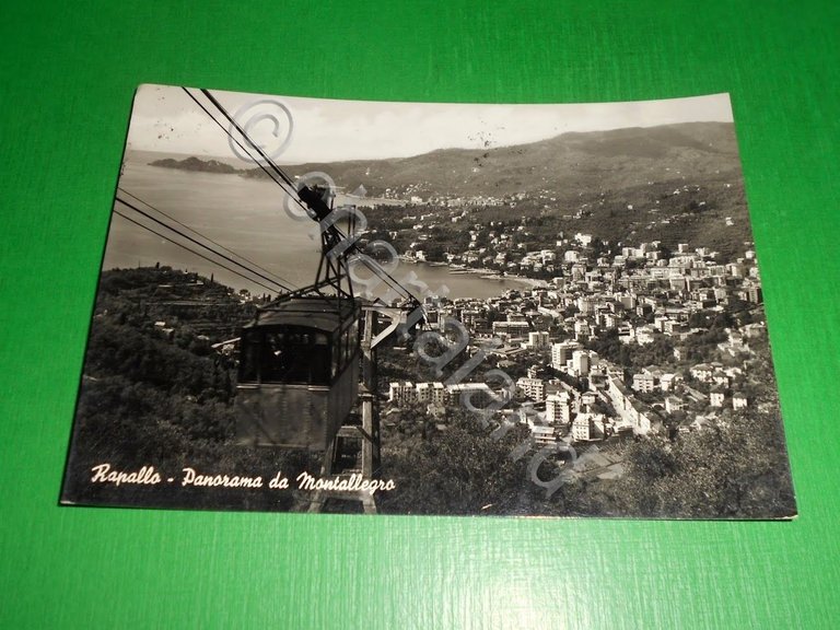 Cartolina Rapallo - Panorama da Montallegro 1957