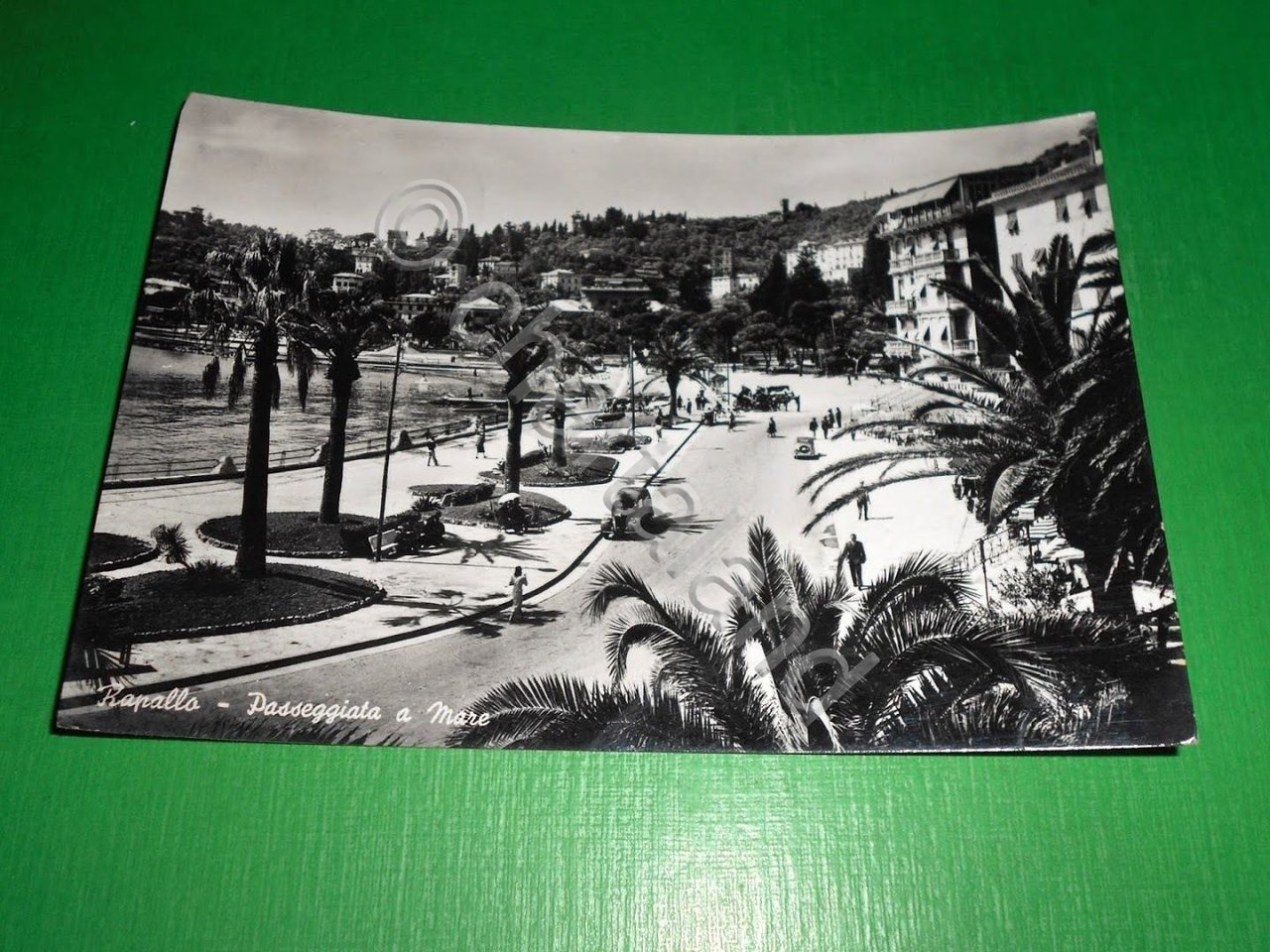 Cartolina Rapallo - Passeggiata a mare 1951.