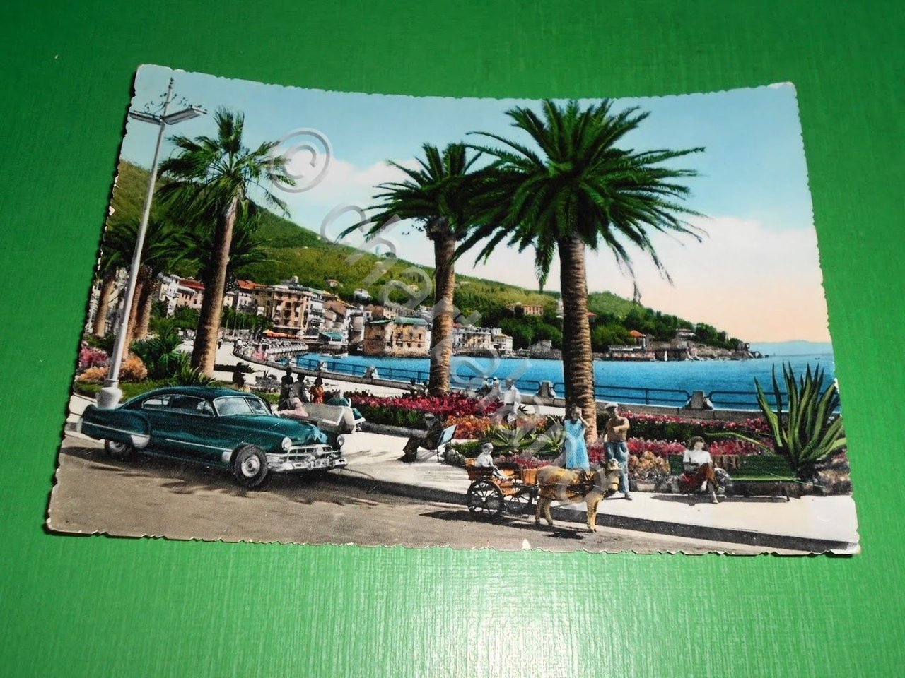 Cartolina Rapallo - Passeggiata a mare 1955.+