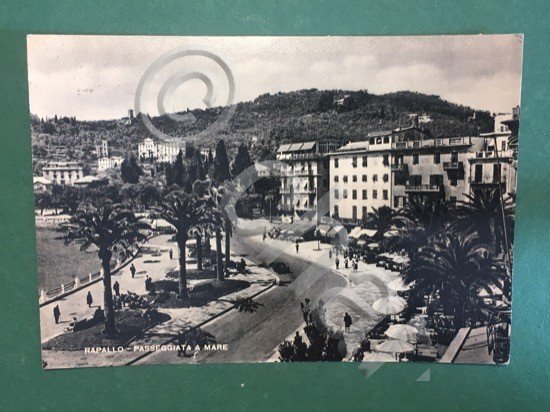 Cartolina Rapallo - The Promenade On The Sea Shore - …