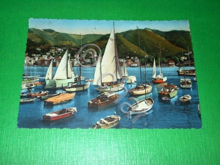 Cartolina Rapallo - Yachts in Porto 1955.